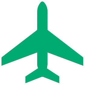Flight Icon